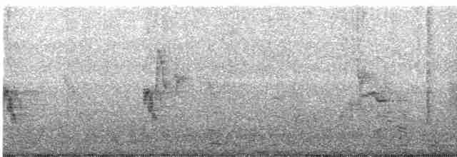 vrabec šedohlavý - ML520424801