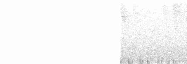 Kara Başlı Çalı Serçesi - ML520443661