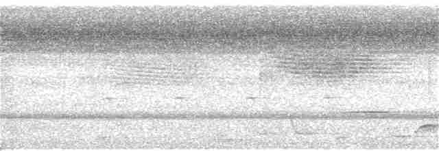 Кукавка рудочерева - ML52046001