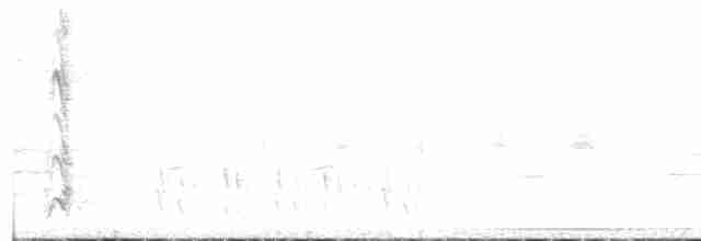 Светлохохлый дятел-гренадер - ML520470981