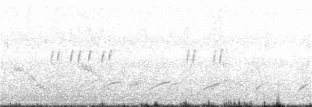 褐頭鷦鶯 - ML52048401