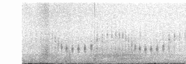 Troglodyte d'Apolinar - ML520494261