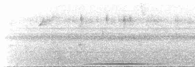 holub šedočelý - ML520577341