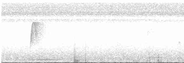 holub bledoprsý - ML520585251