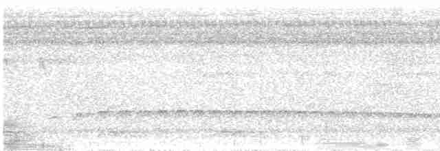 Tüpfelkronen-Ameisenvogel - ML520592871