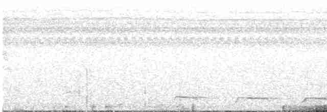 Trogon aux yeux blancs - ML520593611