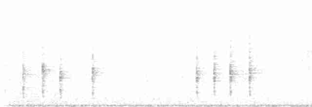 White-bellied Redstart - ML520614781