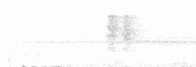 Червеняк білобровий - ML520656001