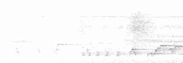Weißschwanz-Fuchsdrossel - ML520660741