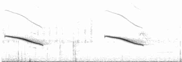 Horsfield Zümrüt Guguğu - ML520685521