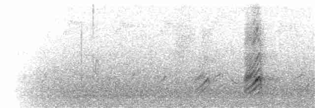 Желтоклювая сорока - ML52068841