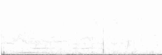 Мурашниця білогорла - ML520688681