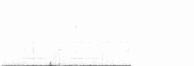 Белогорлая питтовая муравьеловка - ML520689161