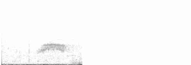 Élénie obscure - ML520690781