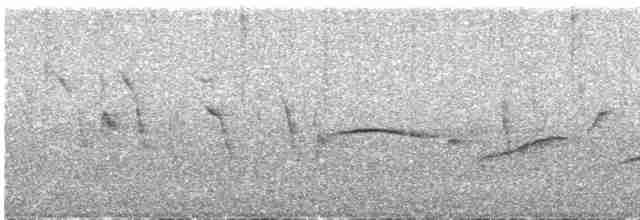 Azure-shouldered Tanager - ML520701741