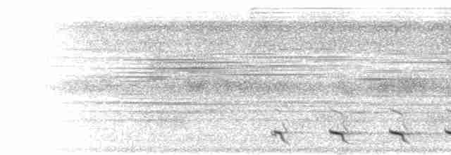  - Green-backed Trogon