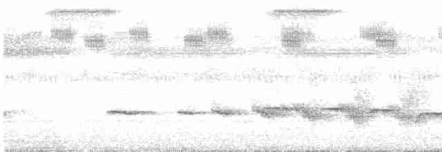 Strichelschulter-Ameisenschnäpper - ML520766791