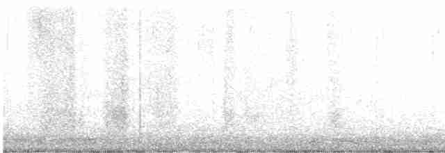 Troglodyte de Baird - ML520798531