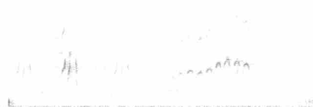 Тиранчик-короткодзьоб південний - ML520807151