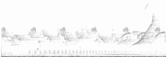 Чернобрюхая желна - ML520811591