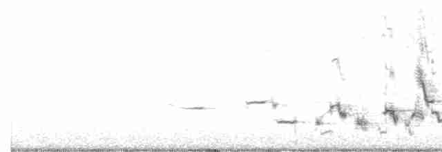 Western Meadowlark - ML520816751