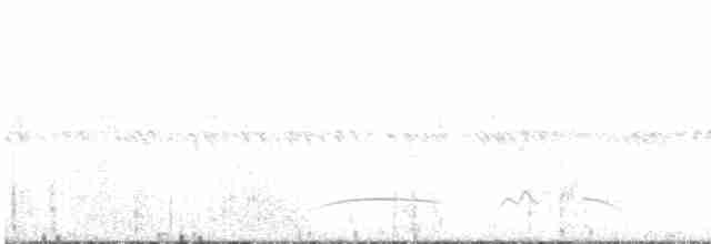 Scissor-tailed Nightjar - ML520817801