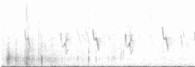 Свертушка рудобока - ML520837541