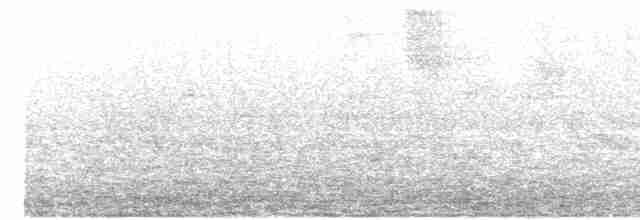 Тихоокеанский крапивник [группа pacificus] - ML520840481