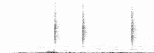 Clamorous Reed Warbler - ML520891521