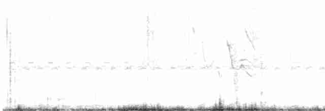 Lesser Grass-Finch - ML520920711