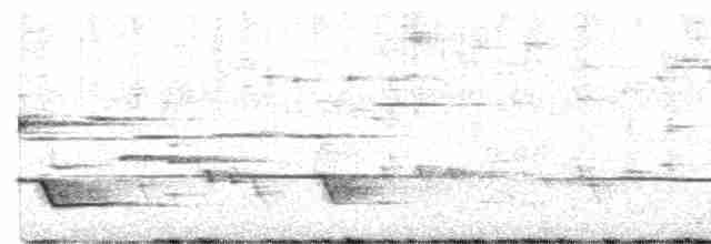 Rufous Whistler - ML521226381