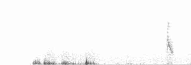 Long-tailed Meadowlark - ML521247861