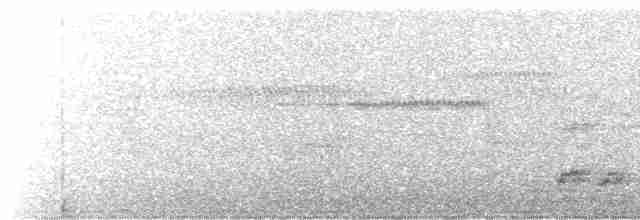 Spotless Crake - ML521267671