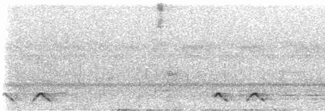 Freckled Nightjar - ML521274571