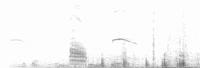 Австралийский пеликан - ML521278201
