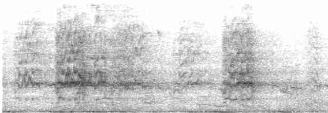 Slender-billed Parakeet - ML521302421