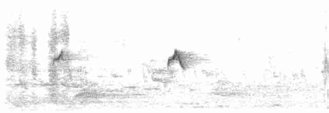 Вівчарик-ковалик (підвид tristis) - ML521308341