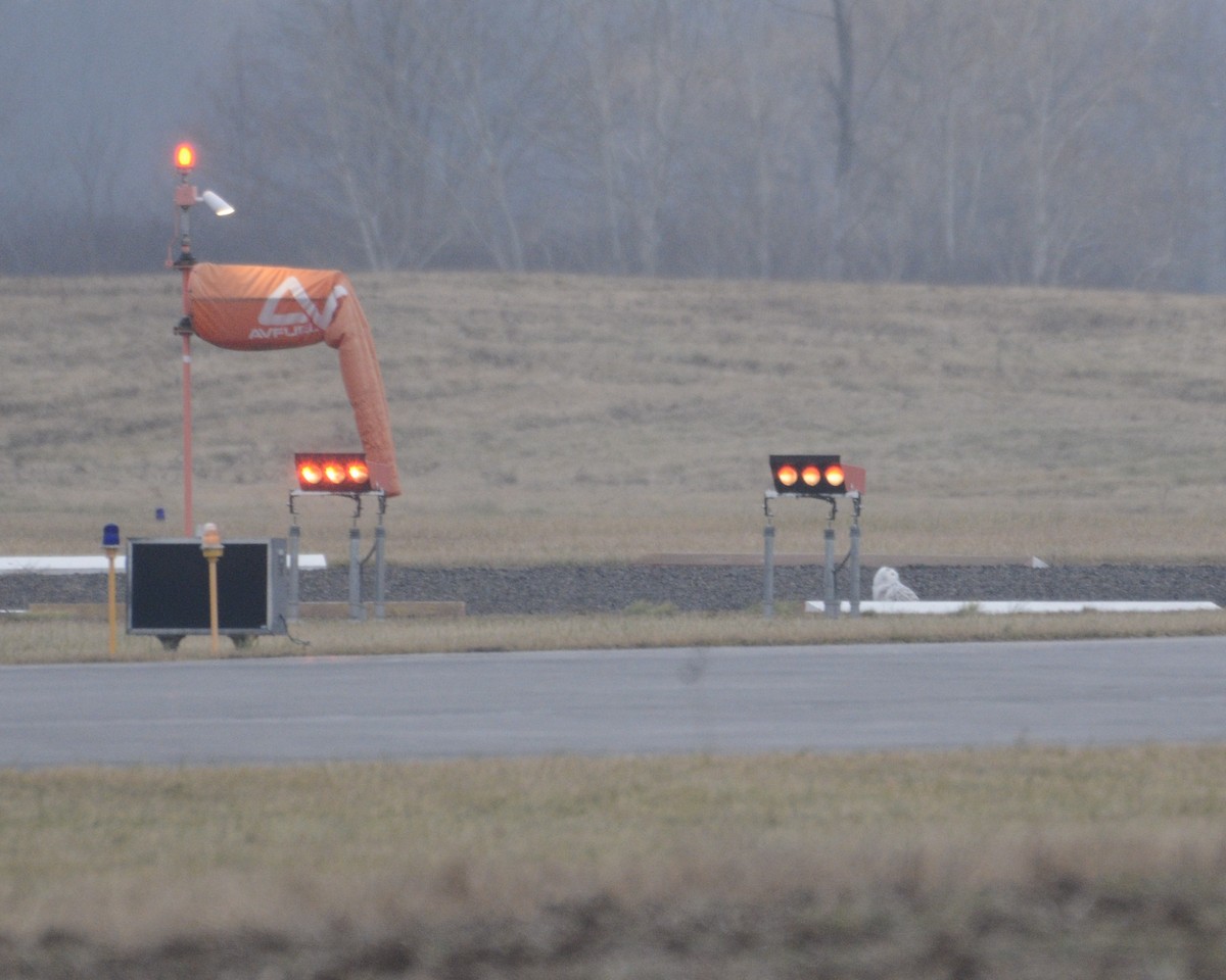 eBird Checklist 7 Jan 2023 Martin Rd. FingerLakes Airport 1 species
