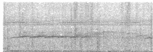 Ak Yüzlü Karıncakuşu - ML52131761