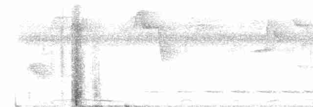 White-tailed Trogon - ML521327801