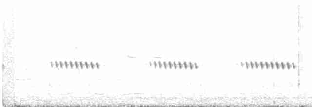 Cricket Longtail - ML521424761