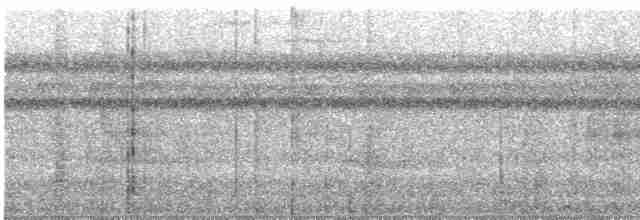 Band-tailed Barbthroat - ML521431081