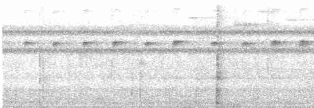Band-tailed Barbthroat - ML521431091
