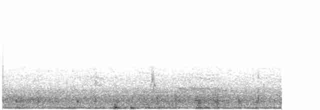 Western Meadowlark - ML521521711