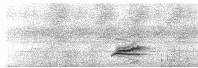 Pale-breasted Thrush - ML521546801