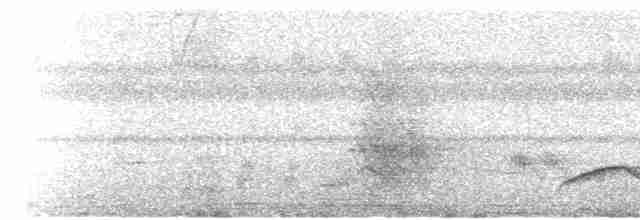 Pale-breasted Thrush - ML521547641