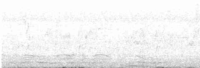 holub běloprsý - ML521564181
