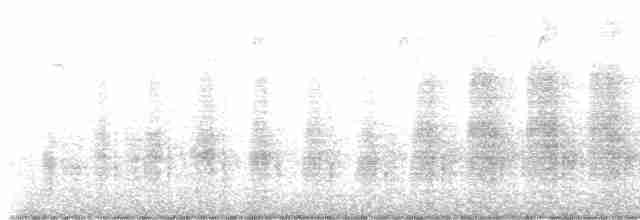 White Tern - ML521567711