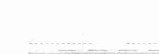 Голоногая совка - ML521583121