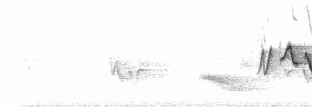 Common Yellowthroat - ML521593011
